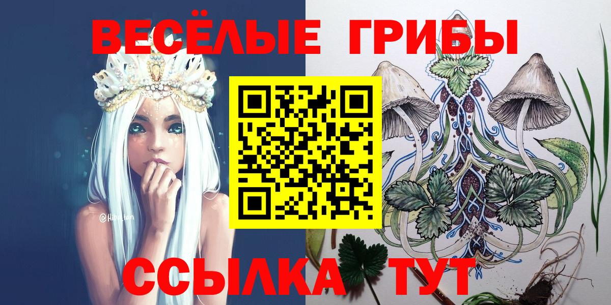 Галлюциногенные грибы Psilocybe Самара