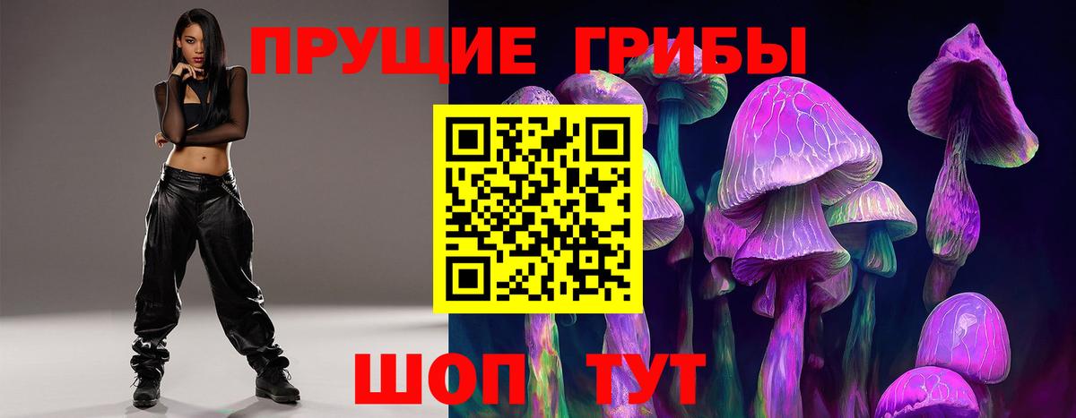 Псилоцибиновые грибы прущие грибы  Псилоцибиновые грибы Magic Shrooms  Самара  сколько стоит  Вход с VPN 